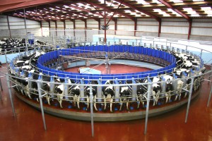 Dairymaster Swiftflo Revolver Rotary 2