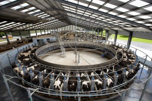 Regilbury Park Farm