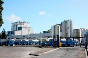 melkfabriek NZ